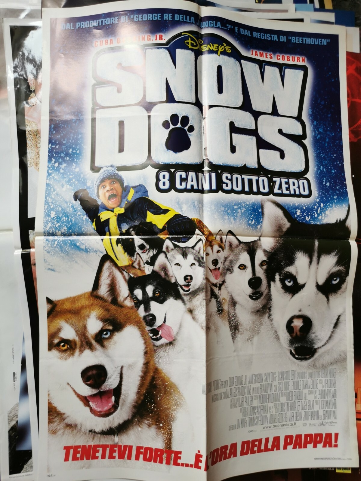 Locandina originale film Snow Dogs - 8 cani sotto zero (2002) - Regia di Brian Levant