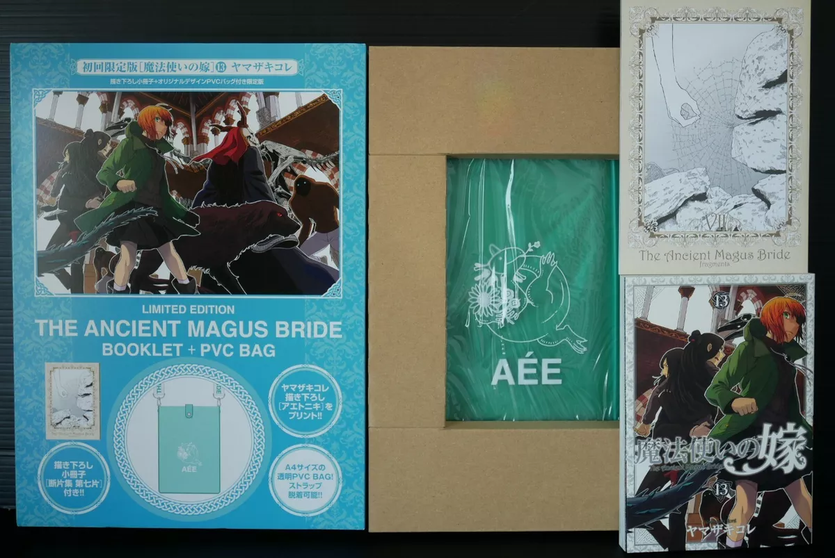 The Ancient Magus Bride Manga Volume 13