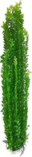 Green Foliage for Aquarium, Fish Tank Safe Plastic Aquarium Plant 30 Inch 75cm