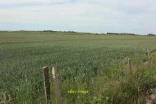 Photo 12x8 Crop field by Muswell Manor Leysdown-on-Sea  c2020