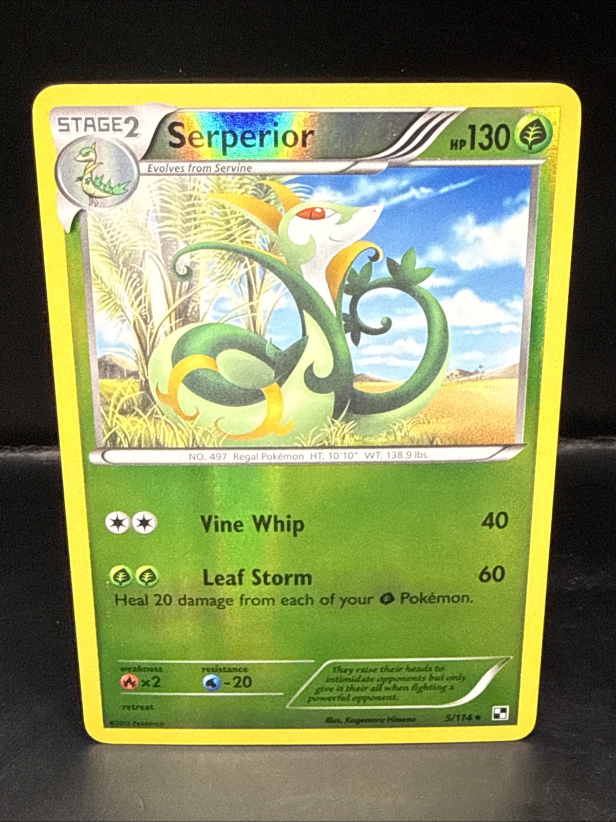 Pokémon Serperior 5/114 NM Holo Rare Reverse Holo Black & White 2011