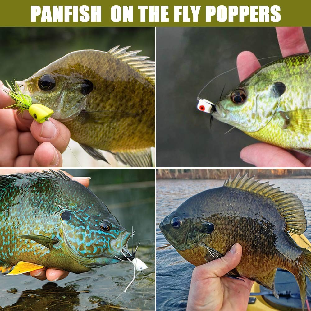 Fly Fishing Poppers Lures for Bass Panfish Flies Topwater Popper for Crappie ... - Image 7