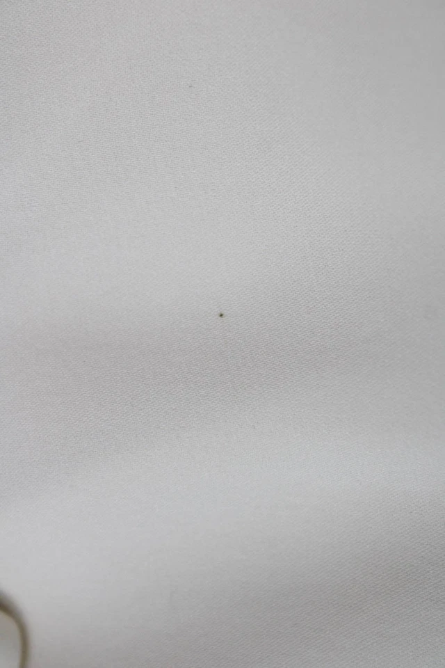 Camisa Tamara Mellon Mujer Seda Transparente Manga Larga Abotonada Crema Talla 8 Foto 4 de 4