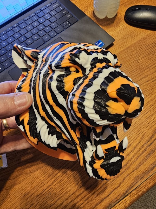 Cincinnati Bengal Tiger Head Wall Mount,  Custom 3d Printed.