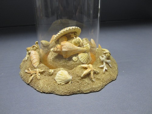 Yankee Candle co Floating Candle Beach Themed Candle Holder Sea Shells Sand - Picture 7 of 13
