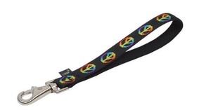 dog training tab leash