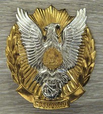 R0MANIA - COSMONAUT BADGE, RARE, 55X65 mm