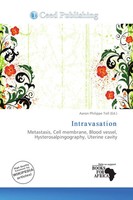 Aaron Philippe Toll | Intravasation | Taschenbuch | Englisch (2026)
