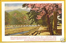 Japan Postcard - Cherry Blossom Tege su Bridge Kyoto 