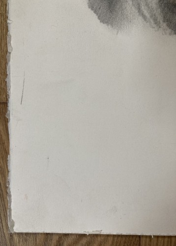 Original signierte Bleistiftzeichnung von L S GANDINI Rottweiler Hund Hundekopf - Bild 5 von 8