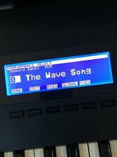 KORG Wavestation / Wavestation EX / A/D (negativo) Display LED personalizzato! 