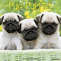 2016 Just Pug Puppies Wall Calendar, New, Free Shipping on sale 2016 Just Pug Puppies Wall Calendar, New, Free Shipping on sale