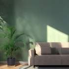 Bild 7 von 7
