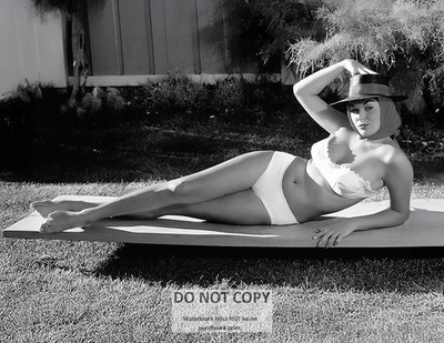 FELICIA ATKINS MODEL AND ACTRESS PIN UP - 8X10 PUBLICITY PHOTO (MW-668)