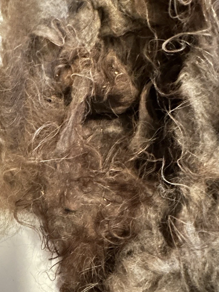 1lb 8.3oz Very Veggie Unwashed Fiber Llama? Alpaca? Natural Spinning Fiber (B28) - Image 3 of 4