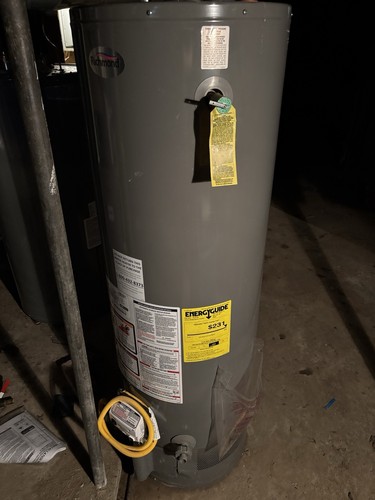 Richmond XG40-36F3 40 Gal NG Storage Tank Water Heater 36,000 BTU Gray