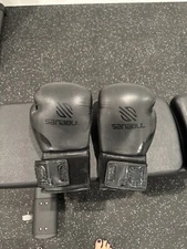Sanabul 16 Oz Boxing Gloves