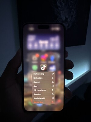 iPhone 14 Pro Max With TikTok