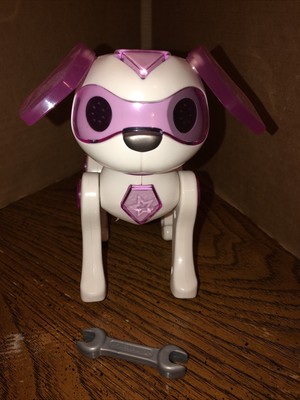 luciana's robotic dog