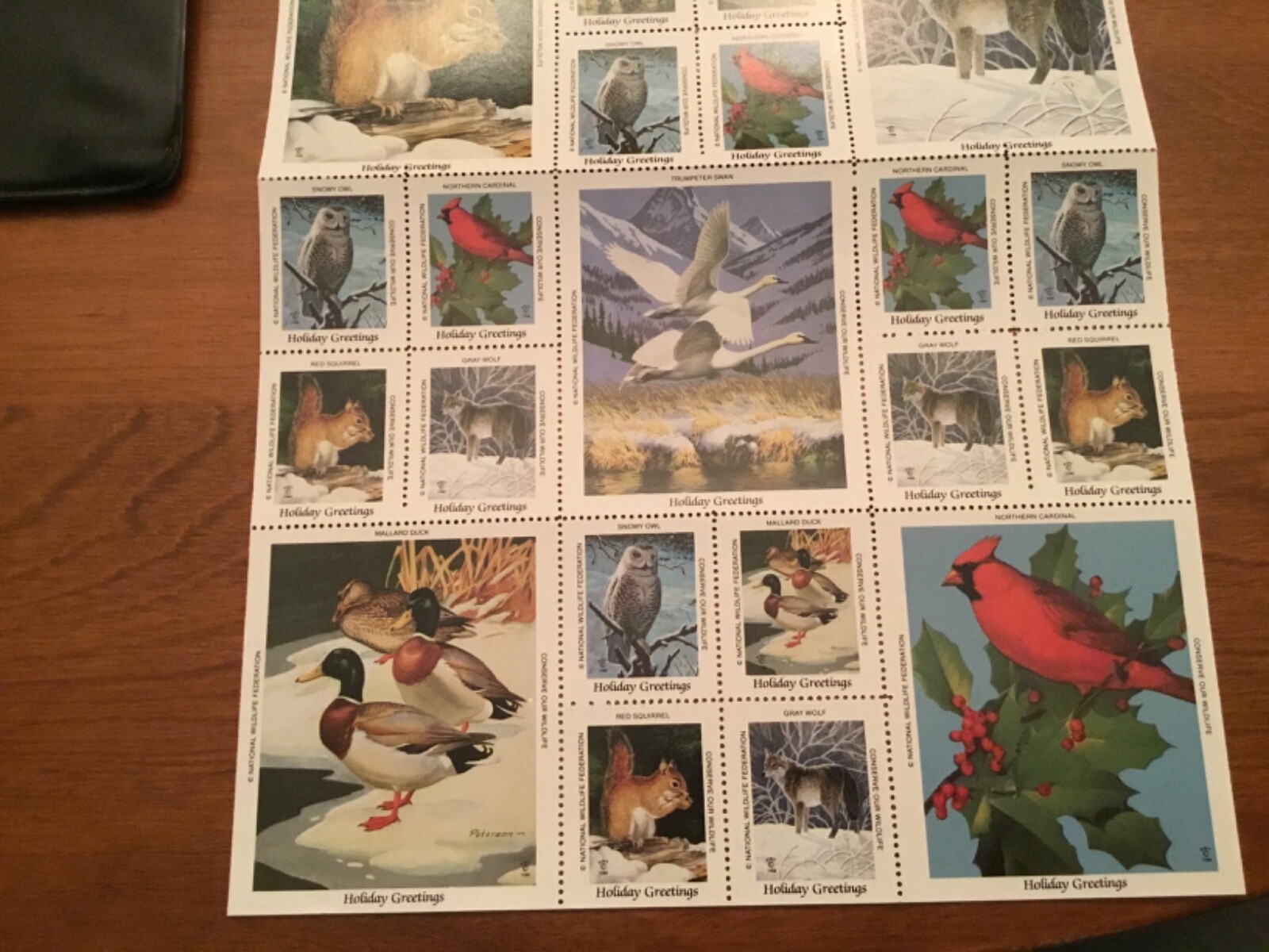 Picture 4
