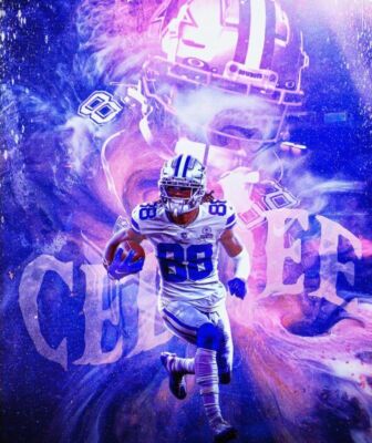 VARIABLE BARRICADE AGF 布ポスター 525418 CEEDEE LAMB Football Touchdown 1 24x18 WALL PRINT POSTER | eBay