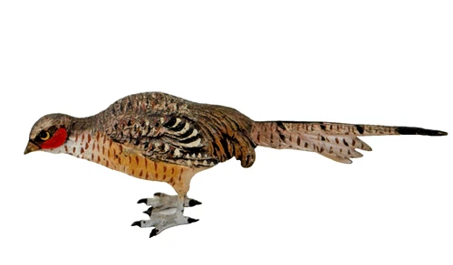 Austrian Cold Painted  Bronze Figure of a Cock Pheasant Game Bird - Picture 1 of 7