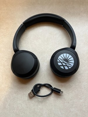 Sony WH-CH520 Wireless Over-Ear Bluetooth Headphones - Black-Charger ...