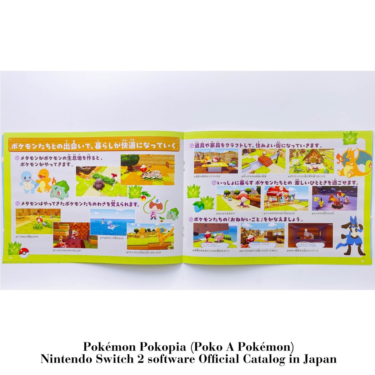 Pokopia Poko a Pokemon 2026 Official Switch2 Catalog booklet Japan