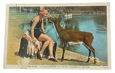 "Two Dears" Woman & Deer ~ Ocala Springs Florida FL~ Antique 1920s Postcard