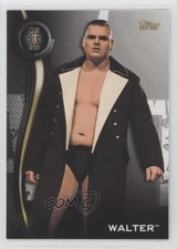 2019 Topps WWE NXT Roster WALTER #47 ne4
