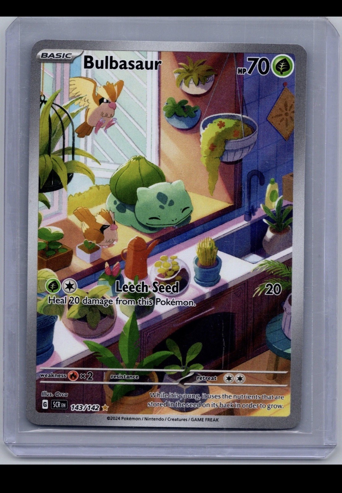 Bulbasaur 143/142 Illustration Rare Stellar Crown Pokemon Holo Near Mint