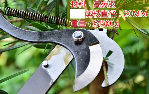 High-altitude Pruning Shears Tree Trimmer Branches Cutter Garden Pruning Scissor - Bild 5 von 8