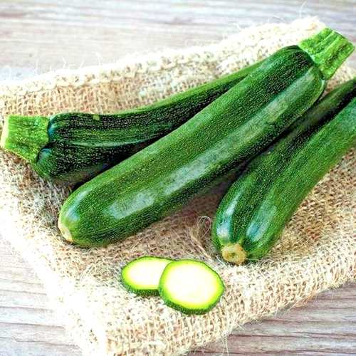 60+ BLACK BEAUTY ZUCCHINI SEEDS 🥒 AAS WINNER HEIRLOOM | NON-GMO | FREE SHIPPING - Picture 3 of 9