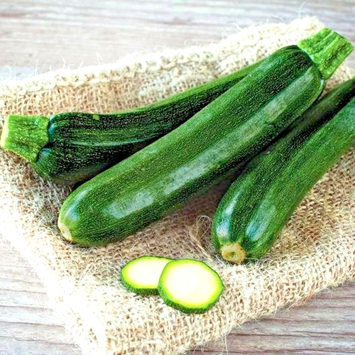 75+ SQUASH ZUCCHINI SEEDS BLACK BEAUTY SPRING HEIRLOOM VEGETABLE GARDEN NON-GMO - Afbeelding 1 van 6