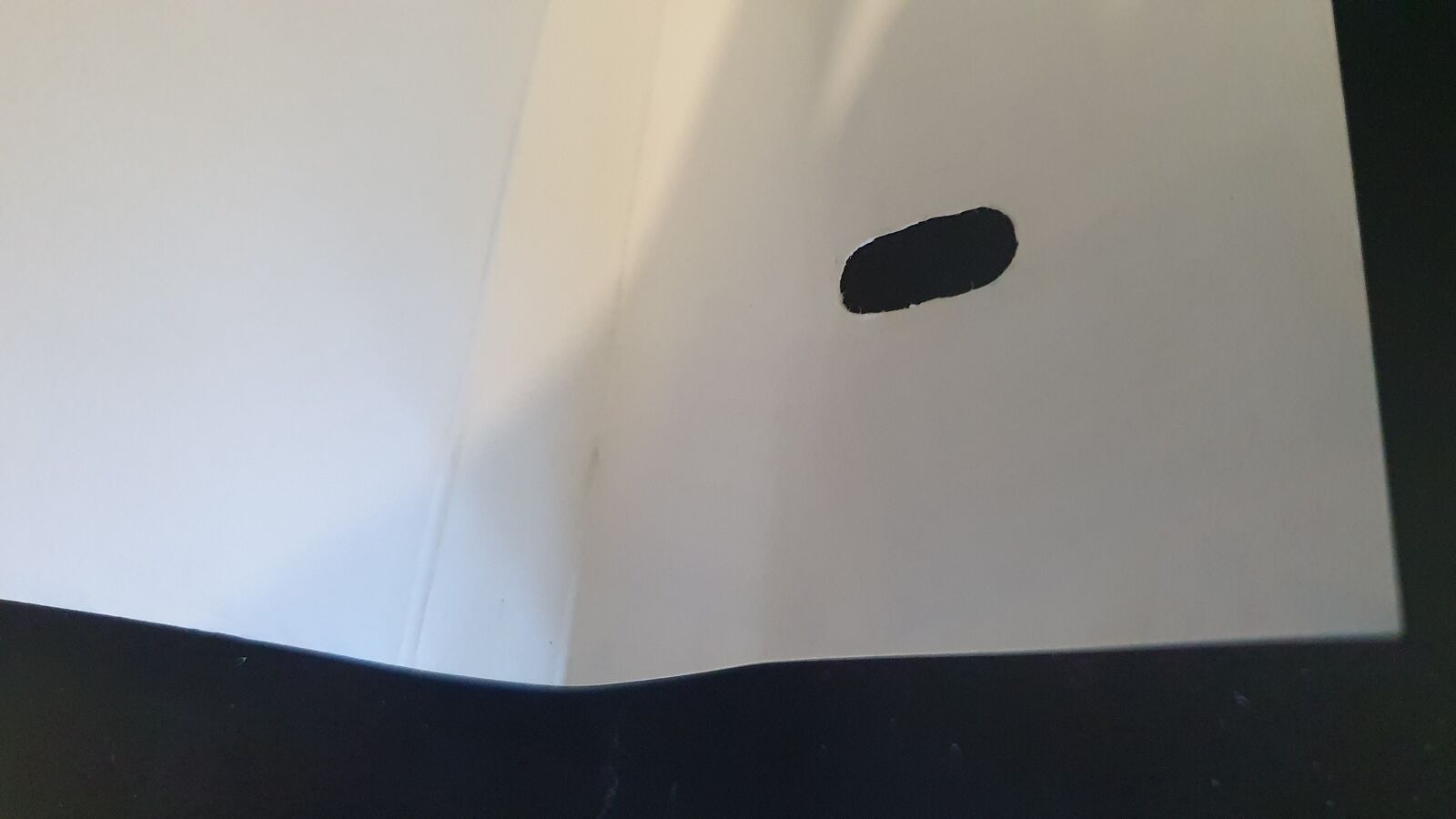 Picture 11 of 11