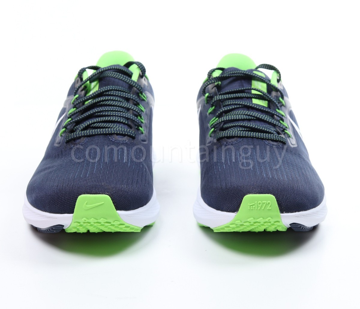 nike pegasus 39 seahawks