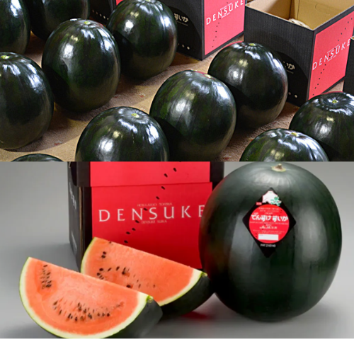 6+ Super Rare Japanese Black Densuke Watermelon Seeds High Seeds eBay