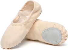 Danzcue Ballet Shoes for Women Soft Canvas/PU Leather Adult 7.5, Pink