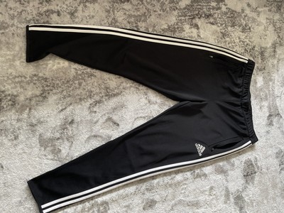 climacool pants