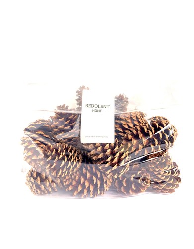 24 Pine Cones Natural Bug Free 3-4" Tall Home Accent Decor Crafting - Picture 4 of 7