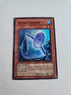 Nimble Sunfish TSHD-EN084 The Shining Darkness 1st Edition Y451