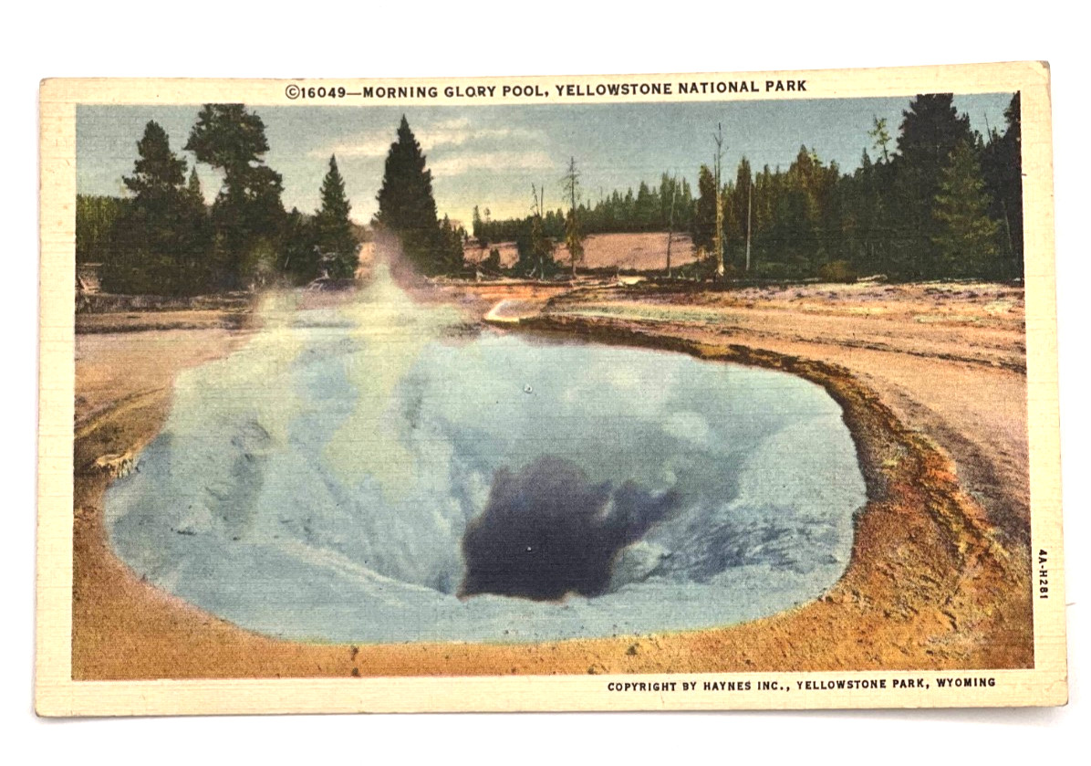 Postcard - Morning Glory Pool, Yellowstone National Park - Wyoming