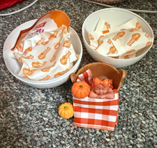 NEW, in packaging ZURU my mini baby pumpkin edition please read 