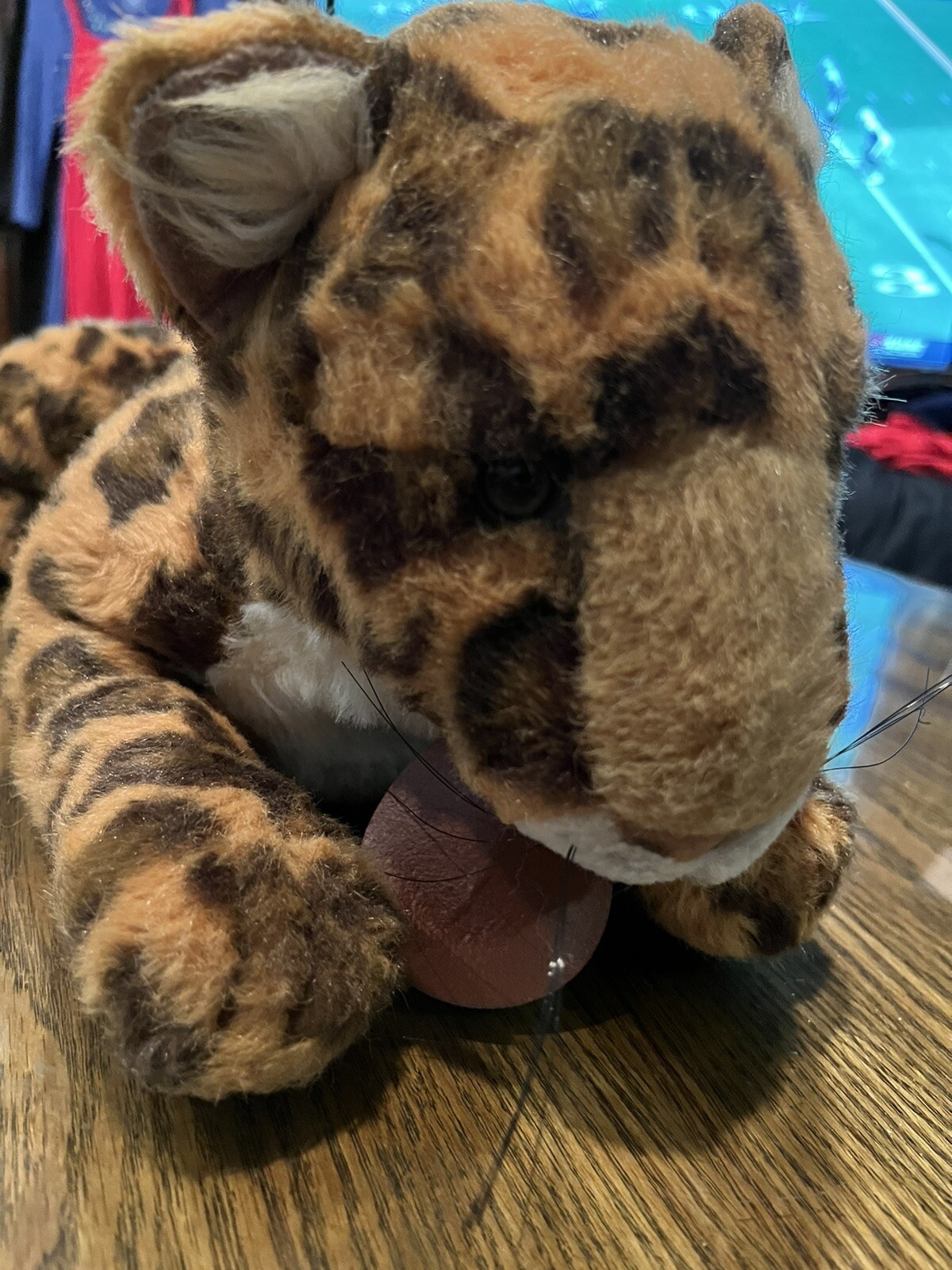 Picture 3 of 5
