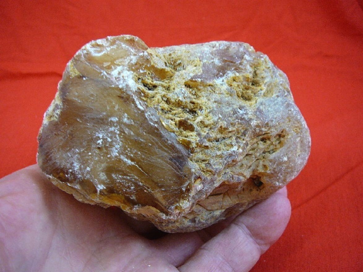 k-321) 330 g Rare Kauri tree Gum copal young Amber New Zealand