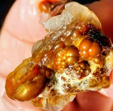 Vintage 1970s Deer Creek Arizona Fire Agate Rough 2.4 Oz