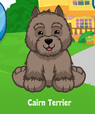Webkinz Cairn Terrier Virtual PET Adoption Code Only Messaged Webkinz Toto Dog 