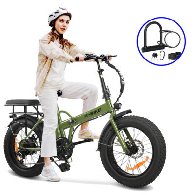 Foldable Bicycle Electric Bicycle 220” 750W Electric Bikes Fat