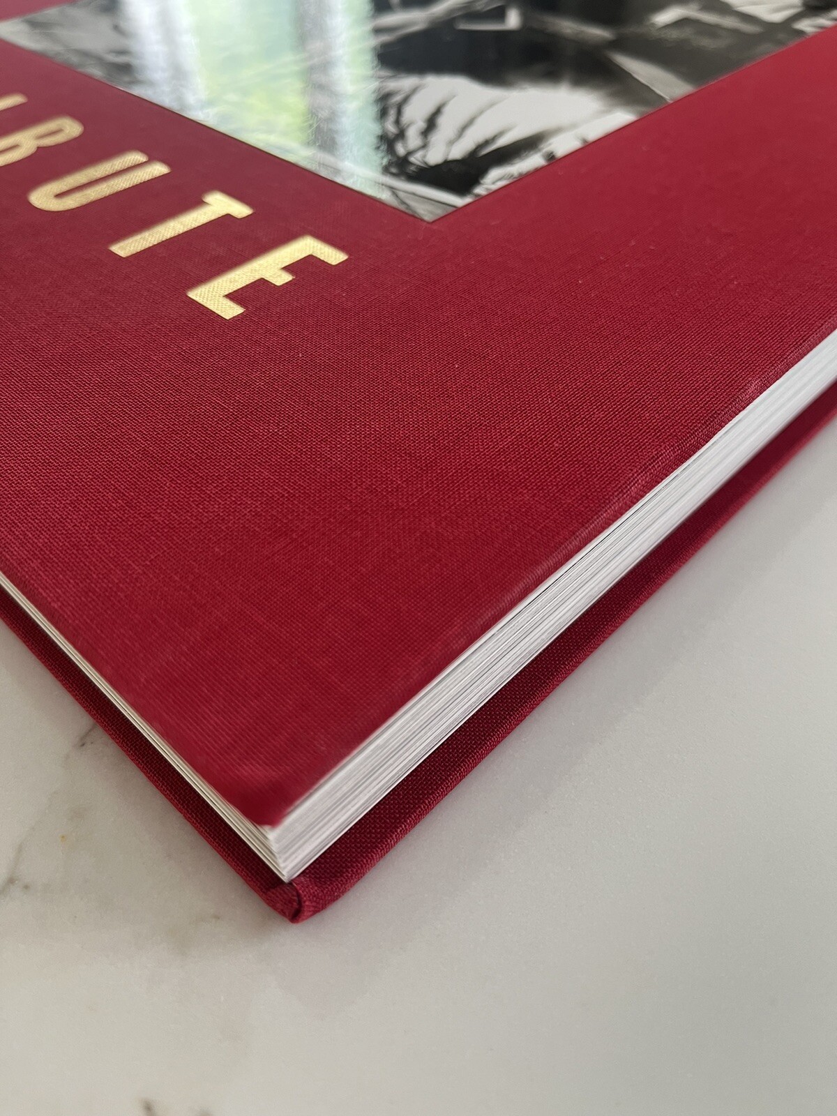 Tribute by Frank De Mulder Coffee Table Book BEAUTIFUL NUDE PHOTOS