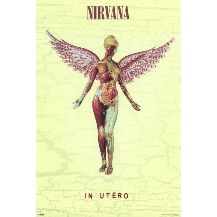 nirvana poster products for sale | eBay